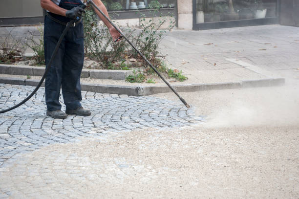 Best Driveway Pressure Washing  in Vandenberg Af, CA